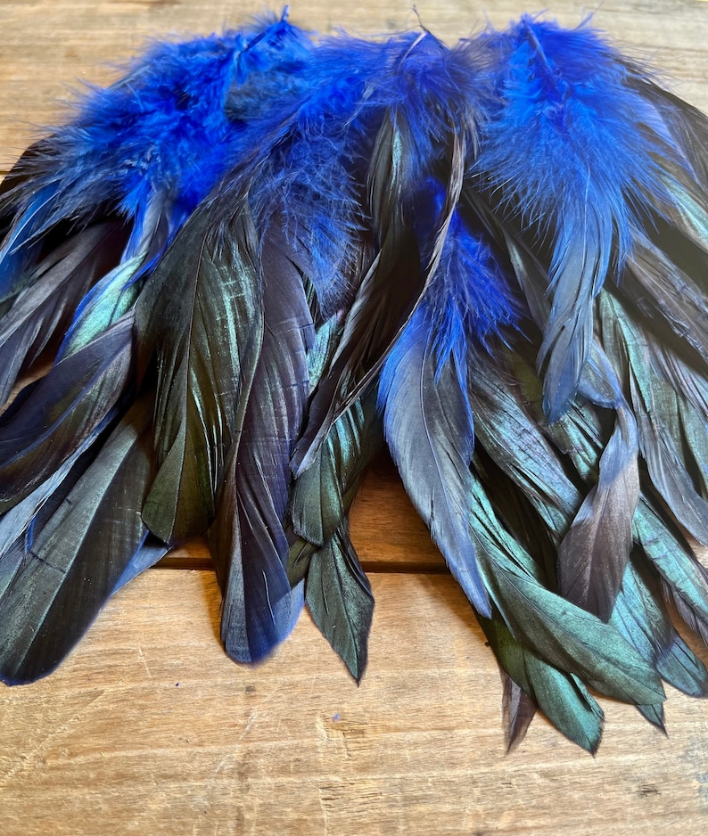 May include: A bunch of black and blue feathers with a iridescent sheen. The feathers are arranged in a fan shape and have a soft, fluffy texture.