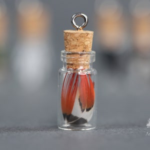 Small bottled feathers, 3cm glass corked ornament, unique feather pendant, DIY necklace earrings, Pheasant & Peacock crafters home decor 5 Red Tip Pheasant