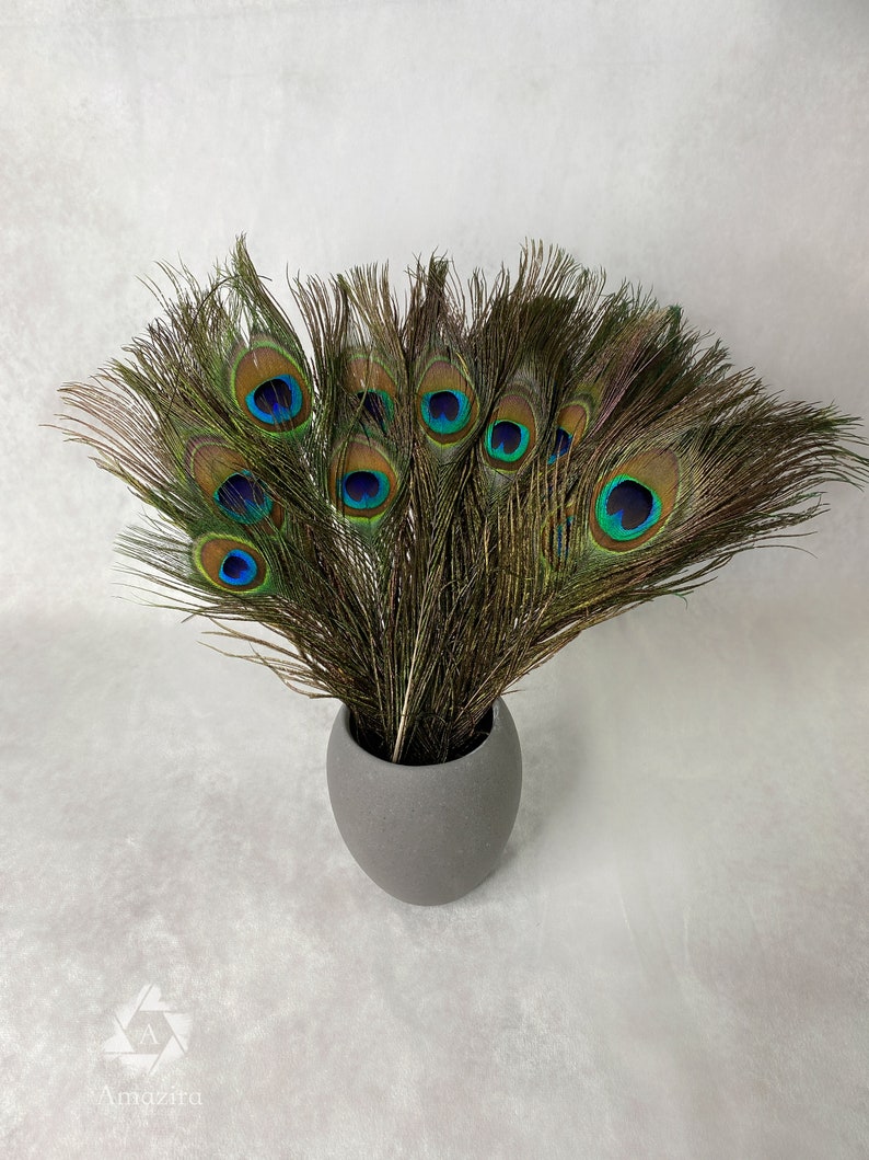 Longues plumes de paon, 10-11 pouces, 25-29 cm, livraison gratuite disponible, plumage de paon vert irisé coloré naturel et or, décoration d'intérieur image 4