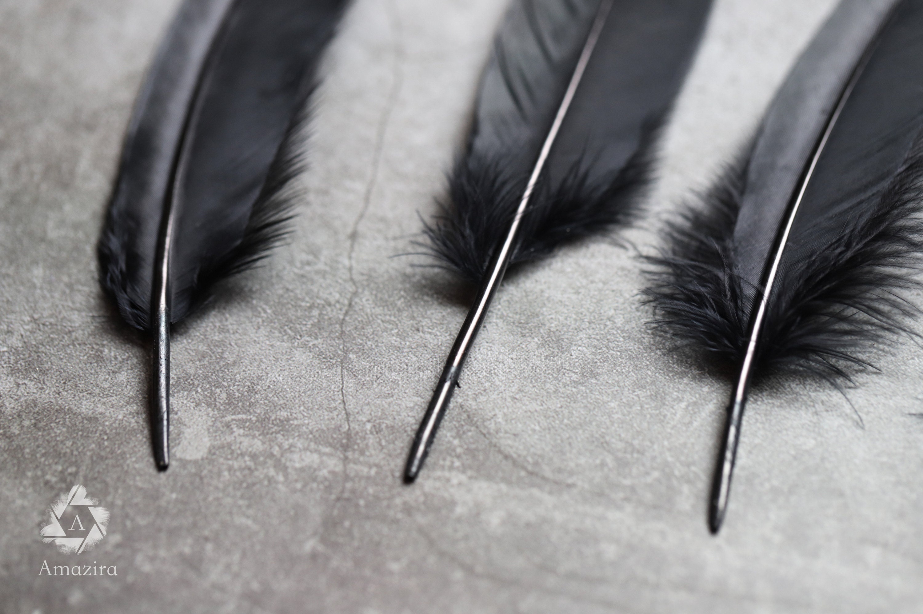 Large black feathers FREE SHIPPING available 6 to 7 inches Etsy