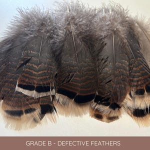 Plumas grandes de cola de pavo, plumas de ahumar, 13-18 cm, 5-8 pulgadas, decoración para jarrones, atrapasueños, tocados, cosplay, suministros de arte para manualidades imagen 9