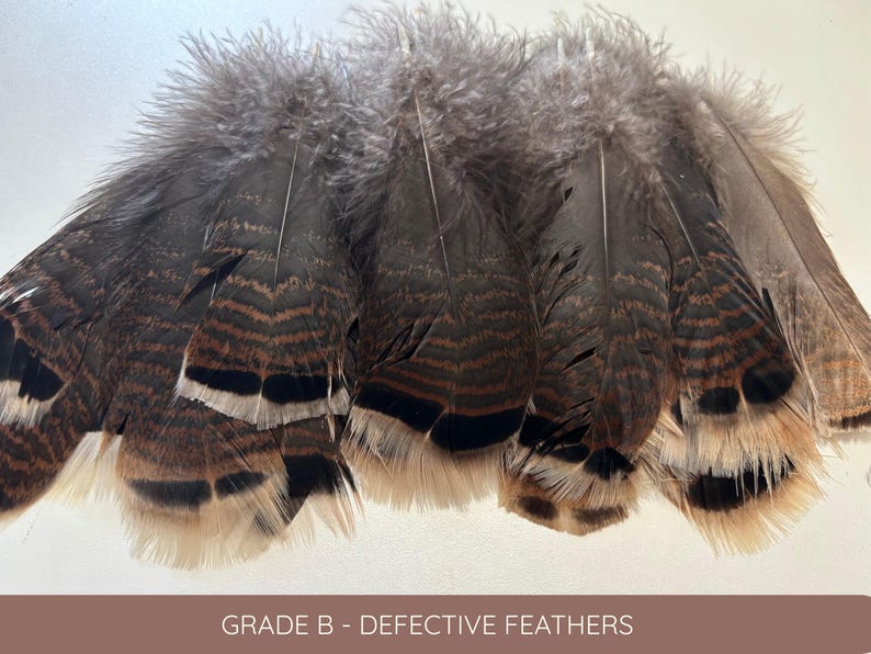 Plumas grandes de cola de pavo, plumas de ahumar, 13-18 cm, 5-8 pulgadas, decoración para jarrones, atrapasueños, tocados, cosplay, suministros de arte para manualidades imagen 9