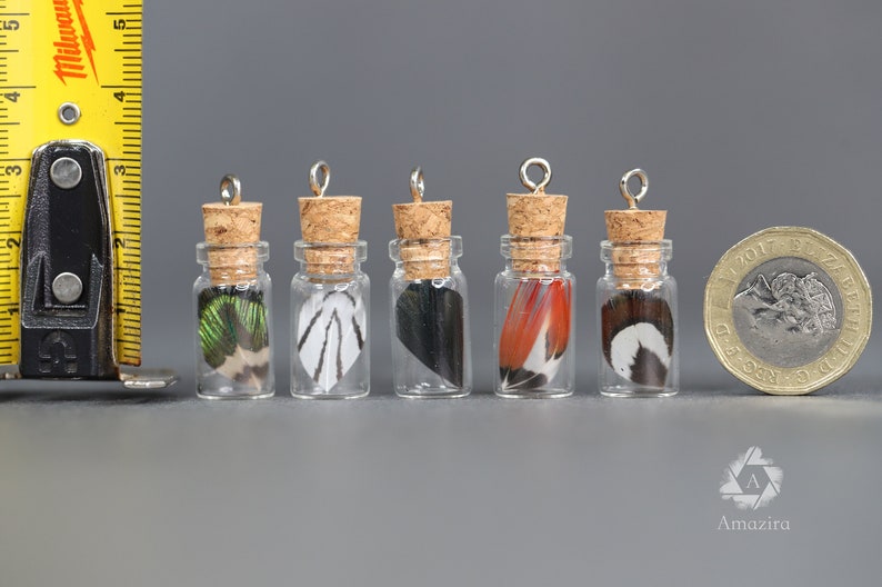 Small bottled feathers, 3cm glass corked ornament, unique feather pendant, DIY necklace earrings, Pheasant & Peacock crafters home decor image 1