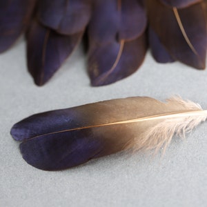 Plumes de faisan irisées bleu violet naturel, livraison gratuite disponible, 5-7 cm, 2-3 pouces, fournitures de bricolage, décoration, boucles d'oreilles image 6