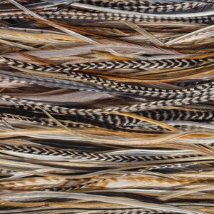 5 Feather Hair Extension DIY Kit, 7-18'' Natural stripped brown grizzly feathers, Hair enhancement additions festival accessory image 4
