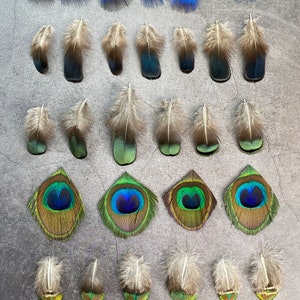 Lot de 30 plumes de paon et de faisan, 3-7 cm, 1-3 pouces, plumes bleues et vertes pour travaux manuels, décoration intérieure, attrape-rêves, fabrication de chapeaux, fabrication de boucles d'oreilles image 3