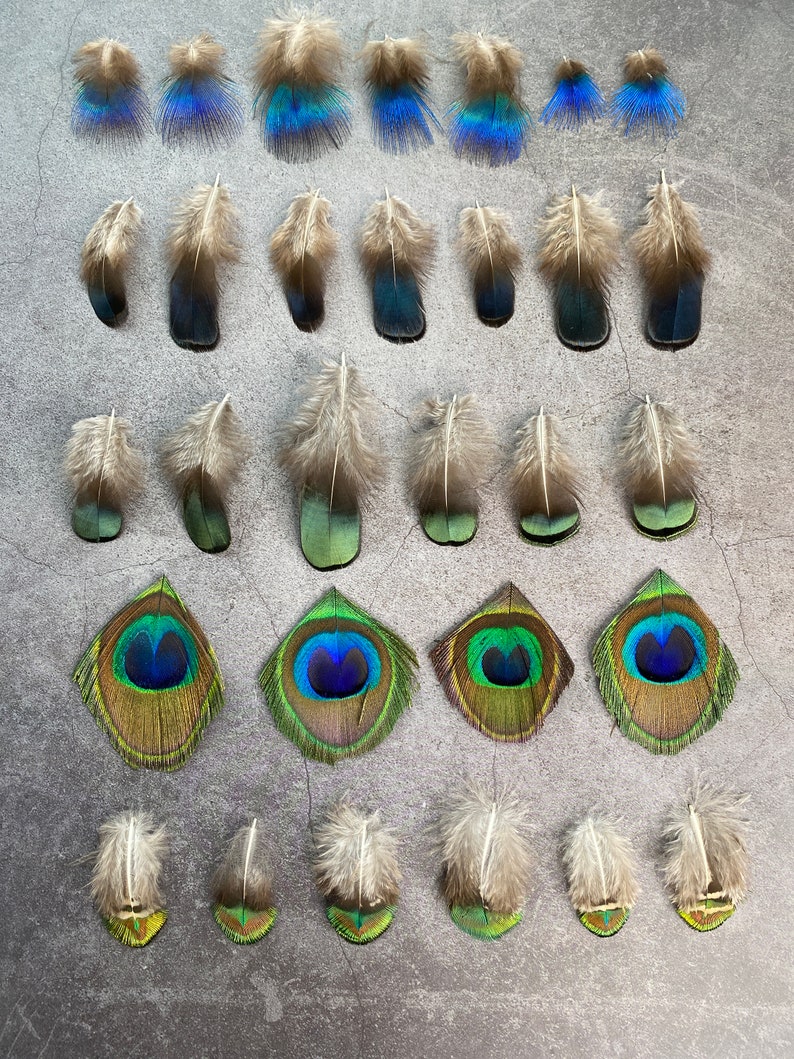 Lot de 30 plumes de paon et de faisan, 3-7 cm, 1-3 pouces, plumes bleues et vertes pour travaux manuels, décoration intérieure, attrape-rêves, fabrication de chapeaux, fabrication de boucles d'oreilles image 3