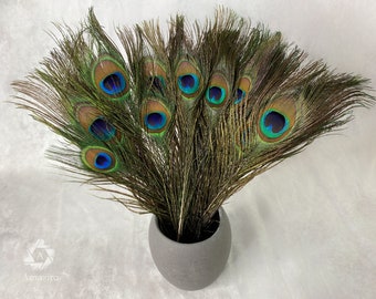 Longues plumes de paon, 10-11 pouces, 25-29 cm, livraison gratuite disponible, plumage de paon vert irisé coloré naturel et or, décoration d'intérieur