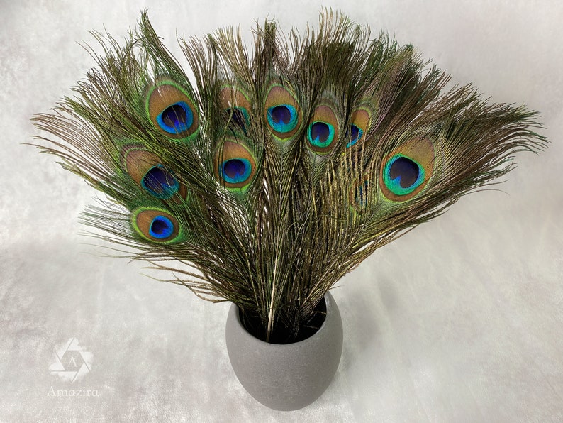 Longues plumes de paon, 10-11 pouces, 25-29 cm, livraison gratuite disponible, plumage de paon vert irisé coloré naturel et or, décoration d'intérieur image 1