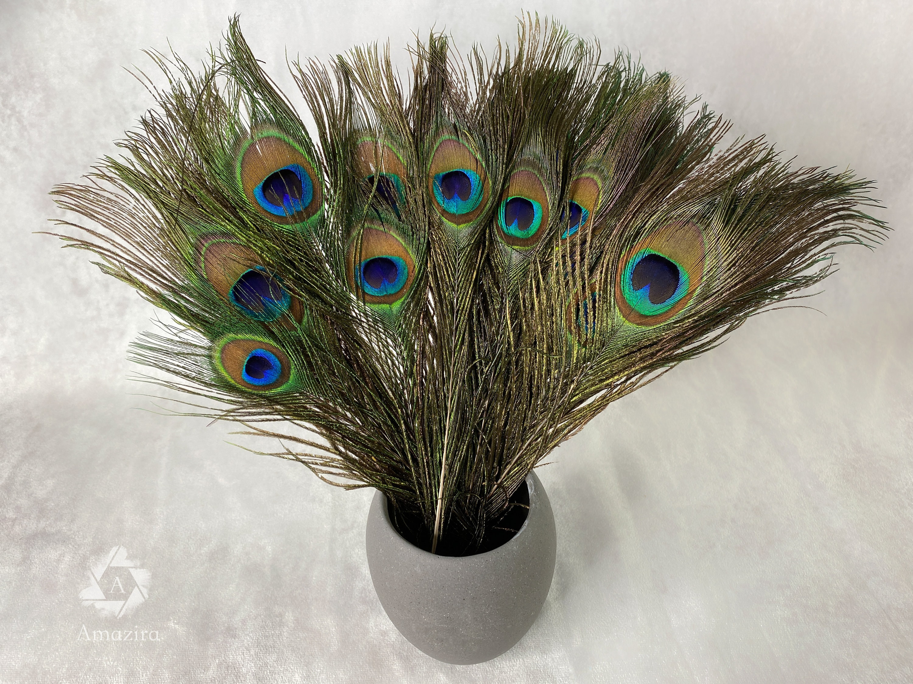 10pcs Long Natural Peacock Feathers 20-24 for Tall Vases Home Decorations  Christmas Decor