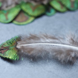 Mini plumes de paon 1 à 5 pouces, 2 à 7 cm, LIVRAISON GRATUITE disponible, couleur naturelle, plumes décoratives en vrac vert irisé, or et marron image 5