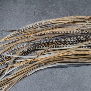 5 Feather Hair Extension DIY Kit, 7-18'' Natural stripped brown grizzly feathers, Hair enhancement additions festival accessory image 8
