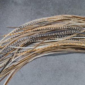 5 Feather Hair Extension DIY Kit, 7-18'' Natural stripped brown grizzly feathers, Hair enhancement additions festival accessory image 7