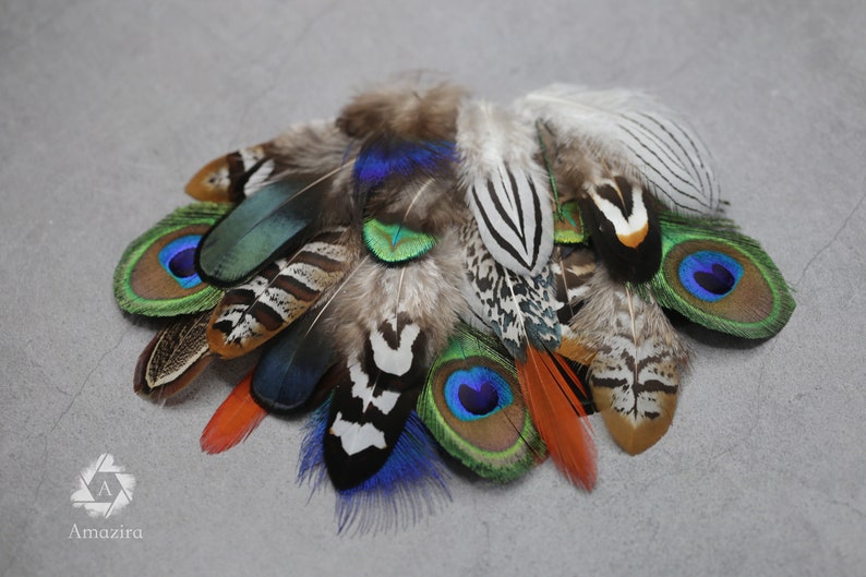 Mixed feather bag 30 Pheasant & Peacock Collection, Best quality assortment, DIY jewellery makers crafters, home decor, dream catcher zdjęcie 1