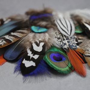 Mixed feather bag 30 Pheasant & Peacock Collection, Best quality assortment, DIY jewellery makers crafters, home decor, dream catcher zdjęcie 5