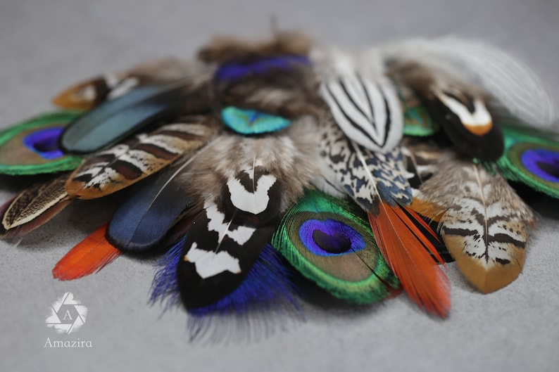Mixed feather bag 30 Pheasant & Peacock Collection, Best quality assortment, DIY jewellery makers crafters, home decor, dream catcher zdjęcie 5