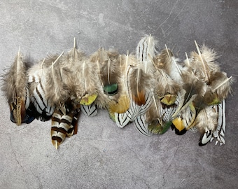 May include: A collection of decorative feathers in various colors, including brown, white, green, and yellow. The feathers are arranged against a gray background, showcasing their natural patterns and textures. Ideal for craft projects or decorative purposes.