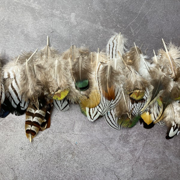 200 Mixed Grade B bag Rooster, Pheasant & Peacock Feathers, DEFECTIVE FEATHERS, Free Shipping, 1-4 inches, 2-10cm, craft supplies