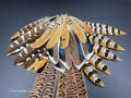 Mixed feather bag - 10 pheasant & duck collection, best quality assortment, craft feathers for diy home decor, dream catcher hat making product logo