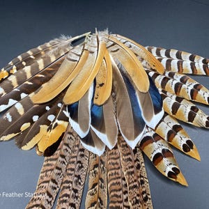 Mixed feather bag - 10 pheasant & duck collection, best quality assortment, craft feathers for diy home decor, dream catcher hat making