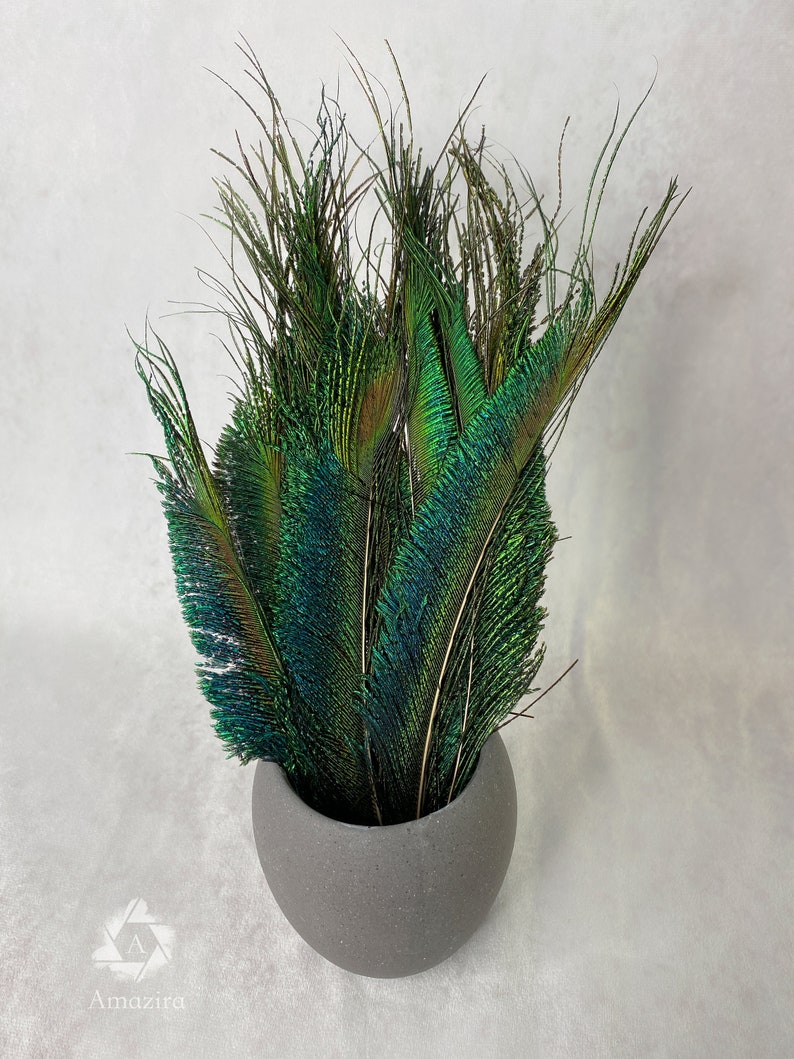 Plumes de paon longues taillées, 10-14, 25-32 cm, LIVRAISON GRATUITE disponible, Naturel coloré irisé, Plumage de paon vert, décor à la maison image 2