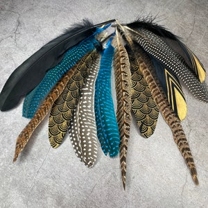 Collection of Large feathers - 12 Pheasant and Goose feathers, Dyed and hand painted quality assortment, DIY makers crafters, home decor