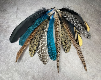 Collection of Large feathers - 12 Pheasant and Goose feathers, Dyed and hand painted quality assortment, DIY makers crafters, home decor