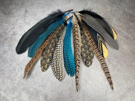 Collection of Large Feathers - 12 Pheasant and Goose