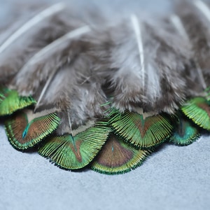 Mini plumes de paon 1 à 5 pouces, 2 à 7 cm, LIVRAISON GRATUITE disponible, couleur naturelle, plumes décoratives en vrac vert irisé, or et marron image 1