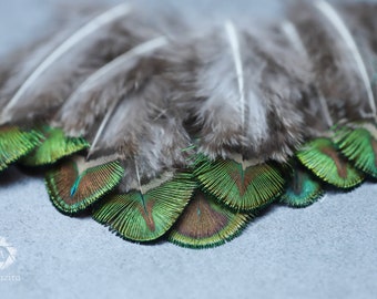 Mini Peacock feathers 1-5 inches, 2-7 cm, FREE SHIPPING available, Natural colour Iridescent Green, gold and brown bulk decoration feathers