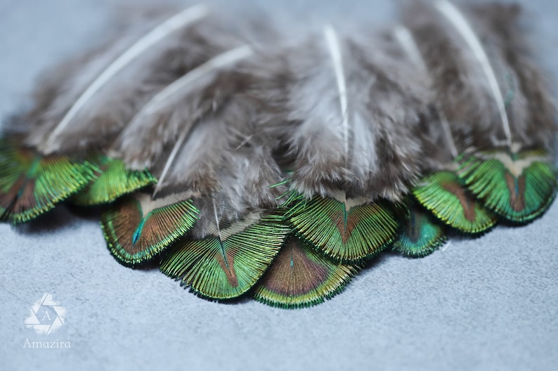 Mini plumes de paon 1 à 5 pouces, 2 à 7 cm, LIVRAISON GRATUITE disponible, couleur naturelle, plumes décoratives en vrac vert irisé, or et marron image 1