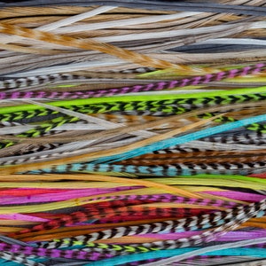 Kleurrijke Feather Hair Extension DIY Kit, 20-25 cm 8-11'' Natuurlijke gestripte grizzly veren, Haarverbeteringen toevoegingen festivalaccessoire afbeelding 3