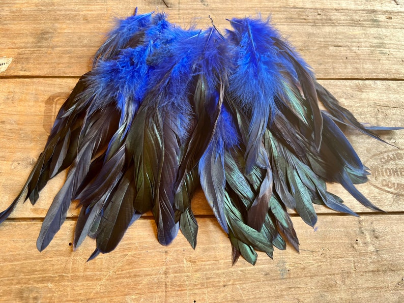May include: A bunch of black and blue feathers with a green iridescent sheen. The feathers are arranged in a fan shape and are ready for crafting projects.