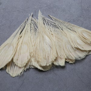 Weiße Pfauenfedern, 7-10 cm KOSTENLOSER VERSAND, natürliches weißes Pfauenauge, Heimdekoration, DIY Handwerker, Hersteller, Traumfänger