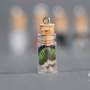 Small bottled feathers, 3cm glass corked ornament, unique feather pendant, DIY necklace earrings, Pheasant & Peacock crafters home decor 5 peacock feathers