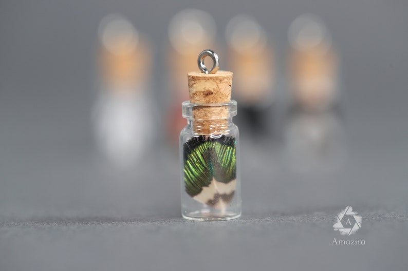 Small bottled feathers, 3cm glass corked ornament, unique feather pendant, DIY necklace earrings, Pheasant & Peacock crafters home decor 5 peacock feathers