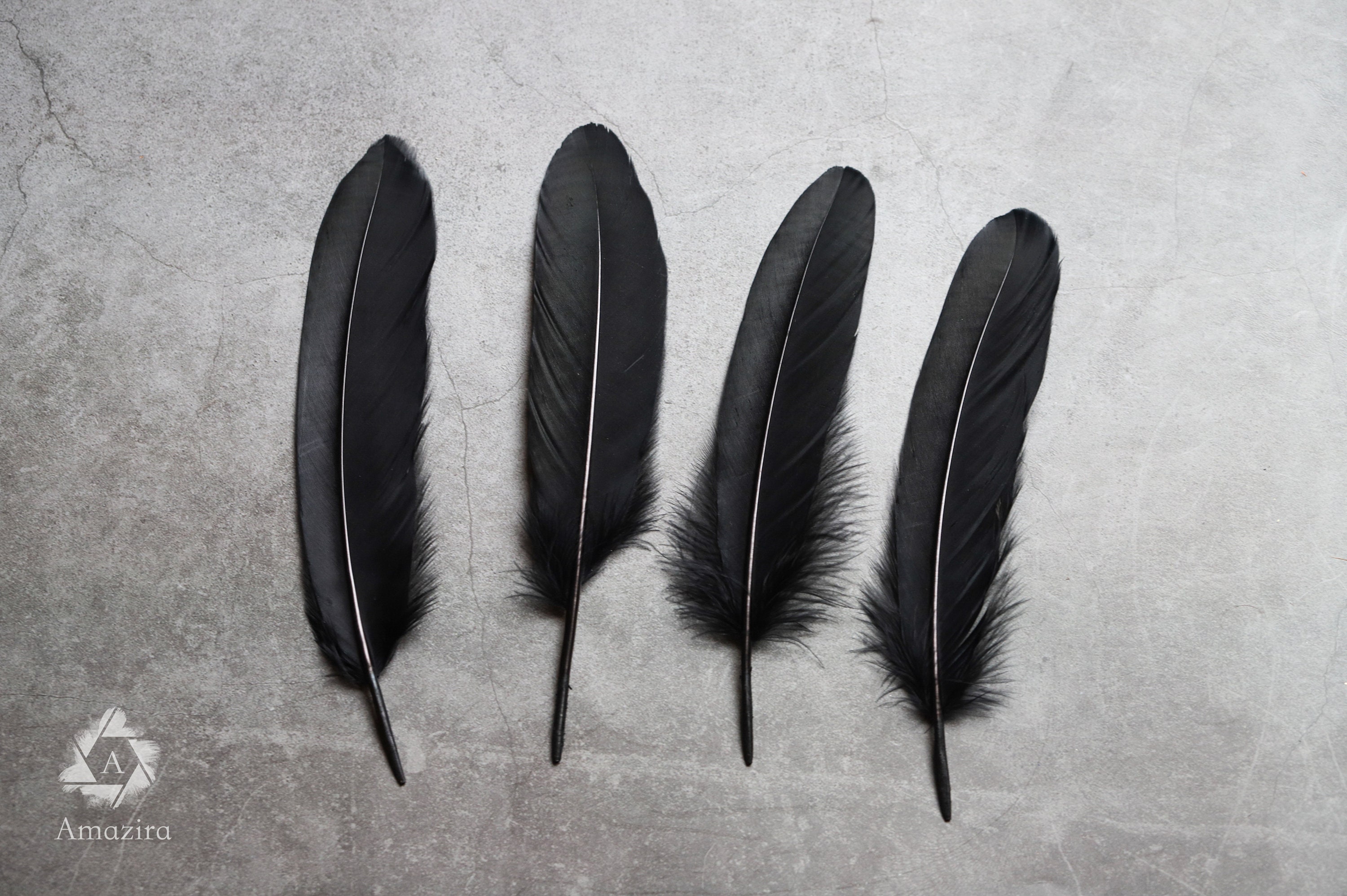 Large black feathers FREE SHIPPING available 6 to 7 inches Etsy