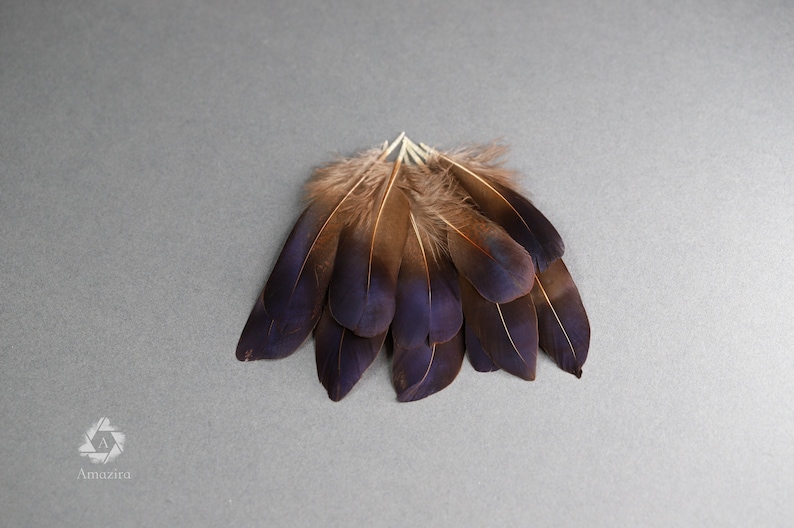 Plumes de faisan irisées bleu violet naturel, livraison gratuite disponible, 5-7 cm, 2-3 pouces, fournitures de bricolage, décoration, boucles d'oreilles image 1