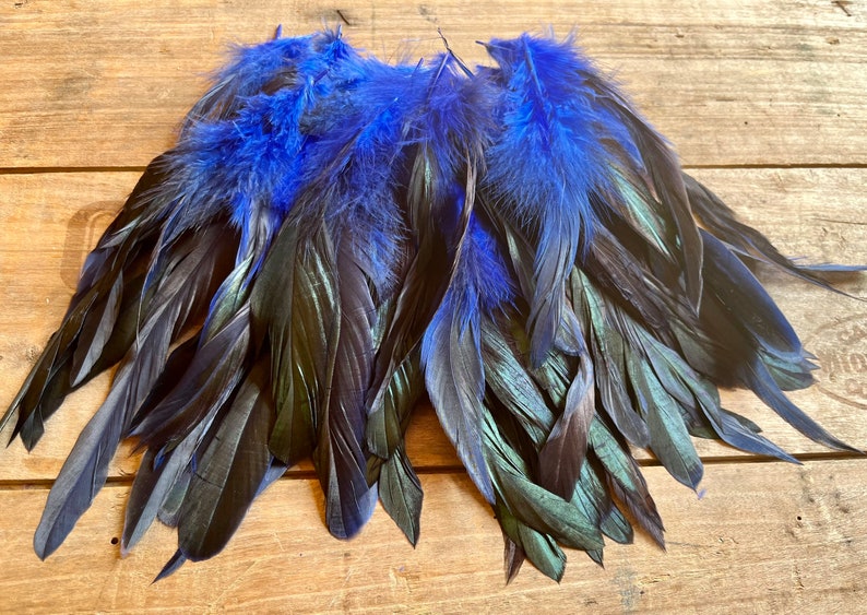 May include: A bunch of black feathers with blue tips. The feathers are arranged in a fan shape and have a slight iridescent sheen.
