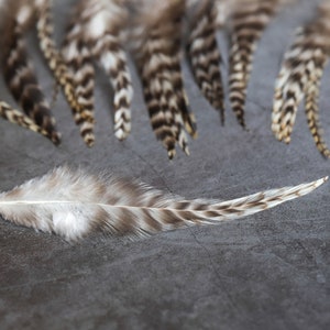 7-12 cm 3-5 inches Natural grizzly bulk feathers, cream, black and grey, Hair extension, Loose skinny feathers for crafts & dream catcher zdjęcie 7