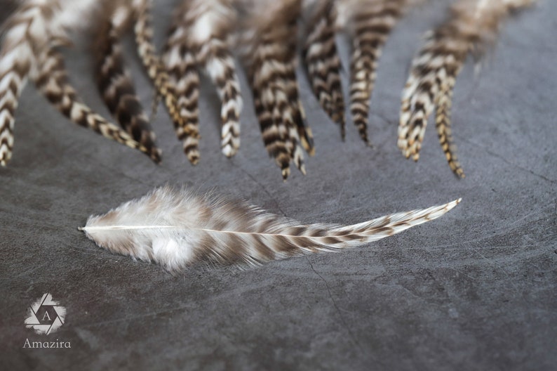 7-12 cm 3-5 inches Natural grizzly bulk feathers, cream, black and grey, Hair extension, Loose skinny feathers for crafts & dream catcher zdjęcie 7