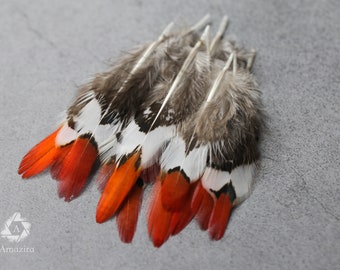 Petites plumes naturelles de faisan doré à pointe rouge, de 2 à 5 à 7 cm. Longues plumes pointues en vrac pour le matériel créatif Livraison gratuite disponible