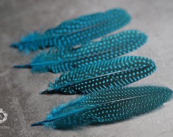 Unique Large Dyed Blue dot Guinea fowl Feathers, Free shipping available, 6-8 inches, Real loose colourful turquoise feathers for crafters