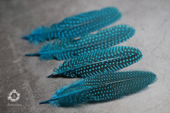 1/4 lb Turquoise Blue Guinea Hen Plumage Feathers