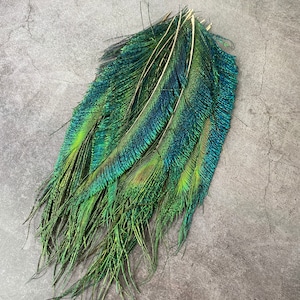 Plumes de paon longues taillées, 10-14, 25-32 cm, LIVRAISON GRATUITE disponible, Naturel coloré irisé, Plumage de paon vert, décor à la maison image 6