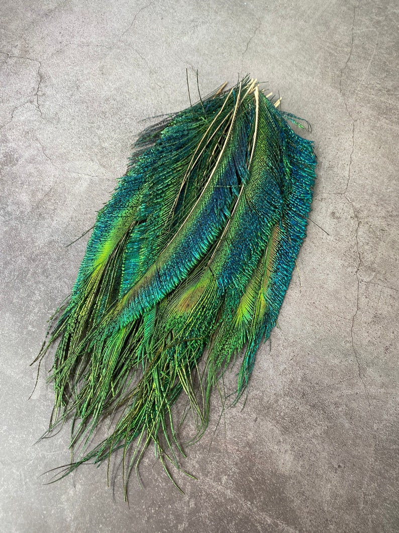 Plumes de paon longues taillées, 10-14, 25-32 cm, LIVRAISON GRATUITE disponible, Naturel coloré irisé, Plumage de paon vert, décor à la maison image 6