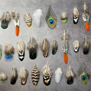 Mixed feather bag 30 Pheasant & Peacock Collection, Best quality assortment, DIY jewellery makers crafters, home decor, dream catcher zdjęcie 2