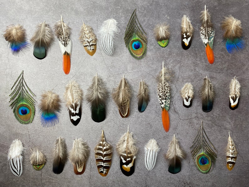 Mixed feather bag 30 Pheasant & Peacock Collection, Best quality assortment, DIY jewellery makers crafters, home decor, dream catcher zdjęcie 2
