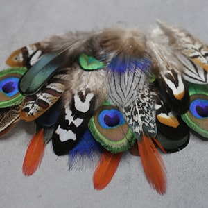 Mixed feather bag 30 Pheasant & Peacock Collection, Best quality assortment, DIY jewellery makers crafters, home decor, dream catcher zdjęcie 3