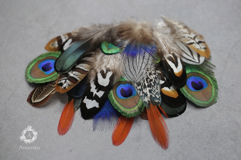 Mixed feather bag 30 Pheasant & Peacock Collection, Best quality assortment, DIY jewellery makers crafters, home decor, dream catcher zdjęcie 3